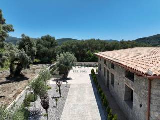 O periballontas choros