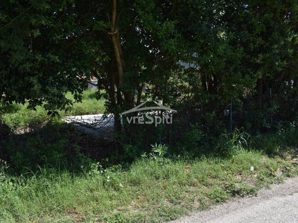 ΑΠΟΨΗ ΑΓΡΟΤΕΜΑΧΙΟΥ