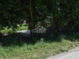 ΑΠΟΨΗ ΑΓΡΟΤΕΜΑΧΙΟΥ