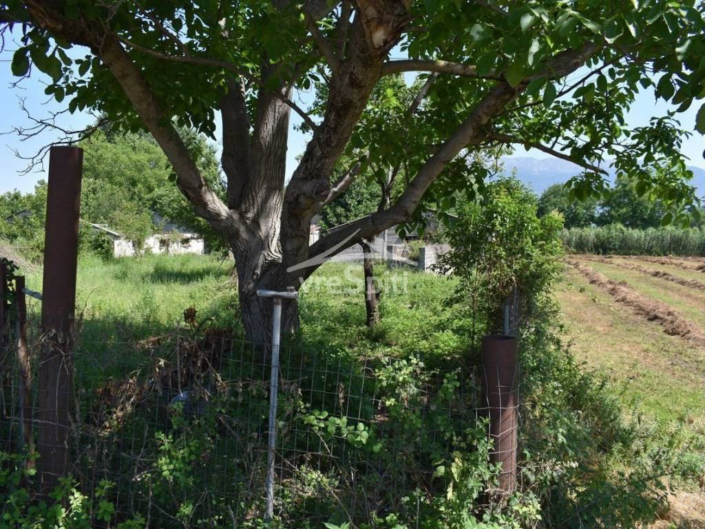 ΑΠΟΨΗ ΑΓΡΟΤΕΜΑΧΙΟΥ