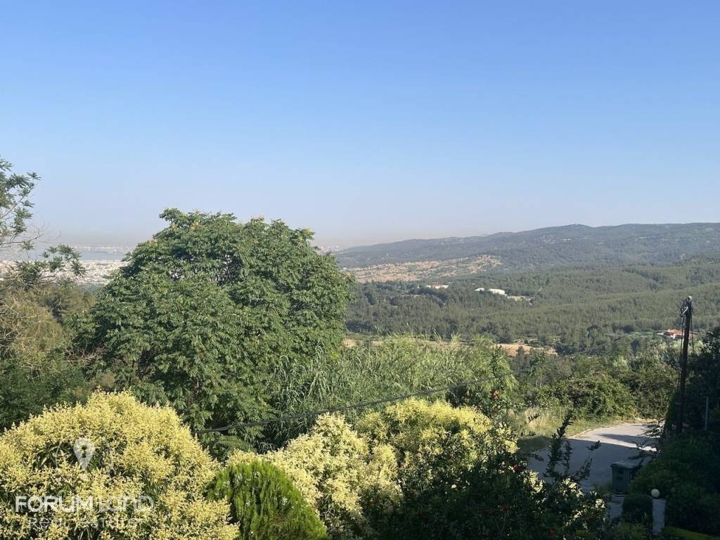 Forumland Real Estate, Θέα ανοιχτωσιά