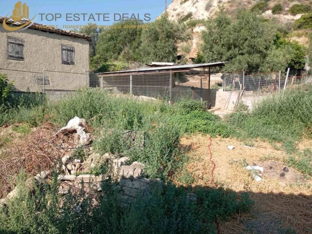 Κοτέτσι όρια οικοπέδου ,περίφραξη