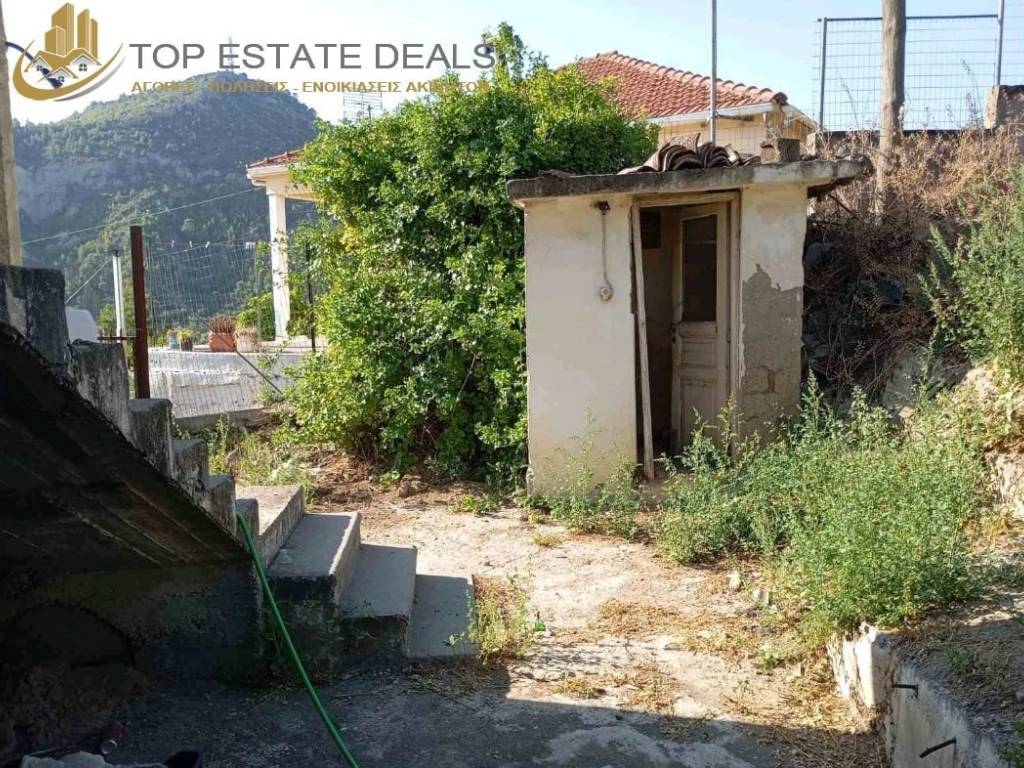 Exoterike toyaleta -geitonika spitia