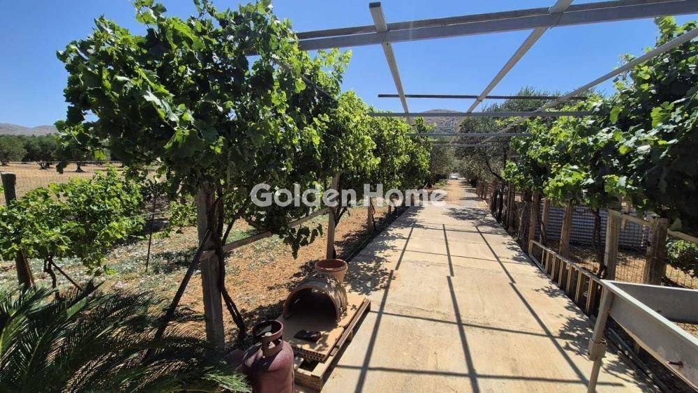 Εξωτερικός Χώρος