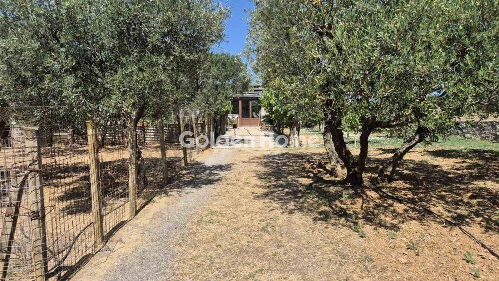 Εξωτερικός Χώρος