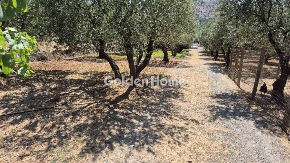 Εξωτερικός Χώρος