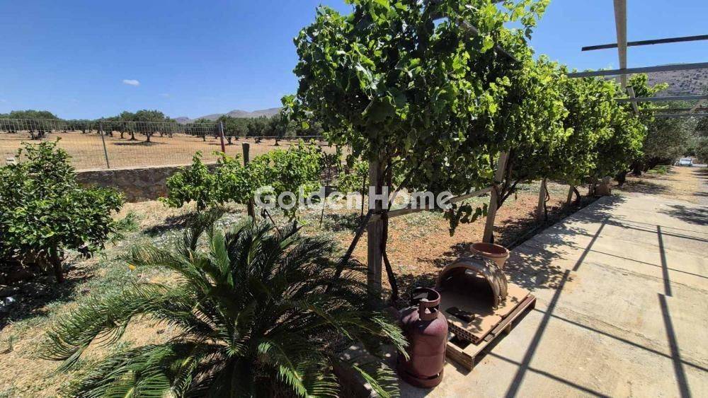 Εξωτερικός Χώρος