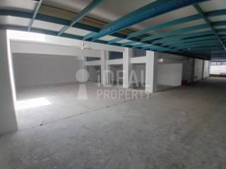 Ενιαίος Χώρος