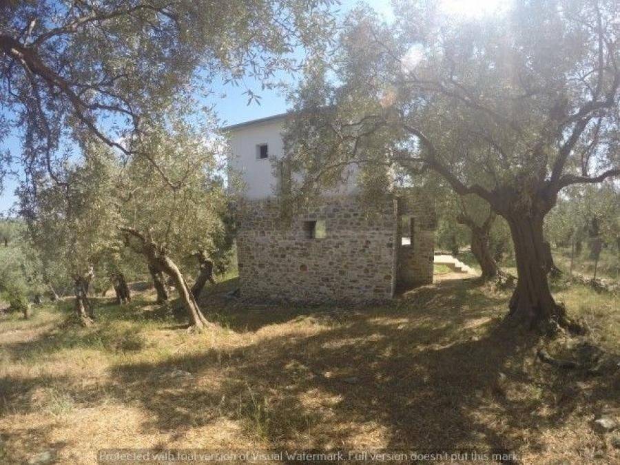 Εξωτερική φωτογραφία