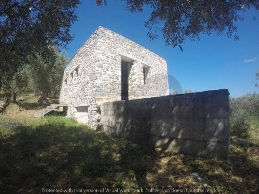 Εξωτερική φωτογραφία