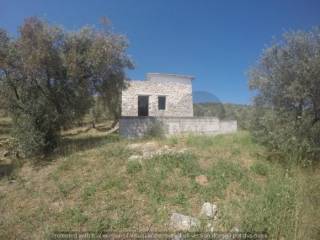 Εξωτερική φωτογραφία