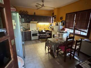 koyzina ( 2e eikona)