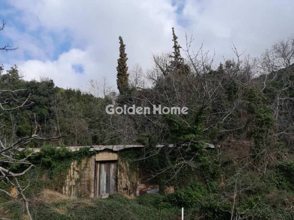 Εξωτερικός Χώρος