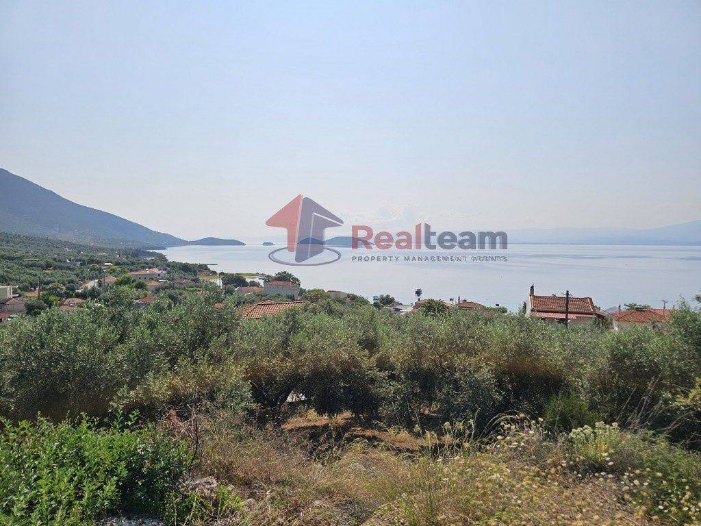 Εξωτερικοι χώροι