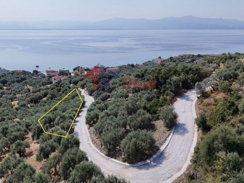 Εξωτερικοι χώροι