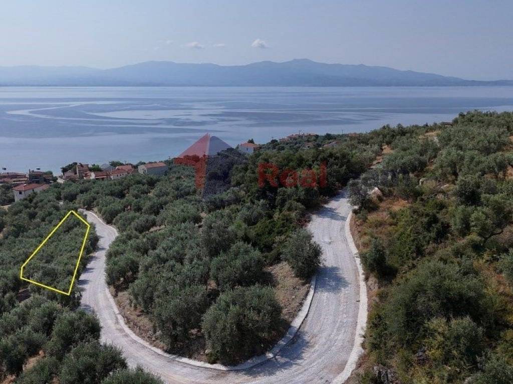 Εξωτερικοι χώροι