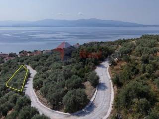 Εξωτερικοι χώροι