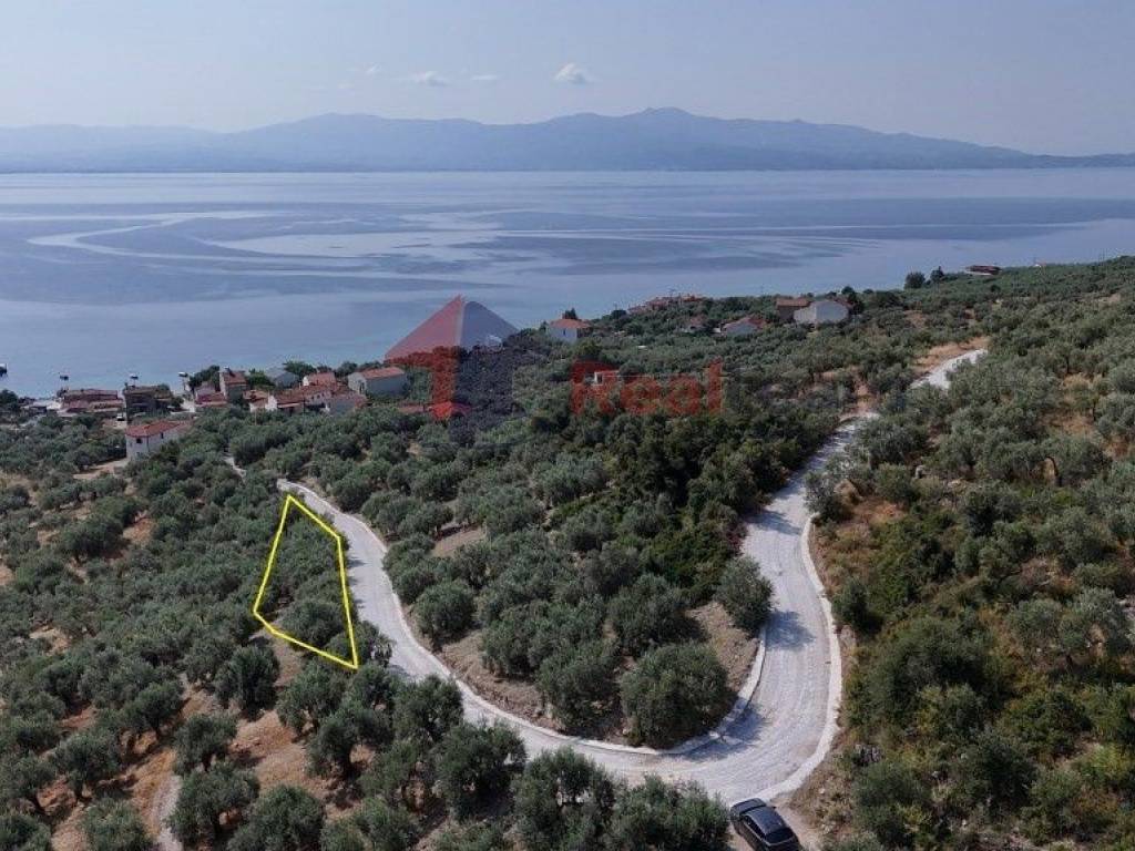 Εξωτερικοι χώροι