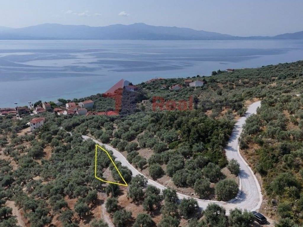 Εξωτερικοι χώροι