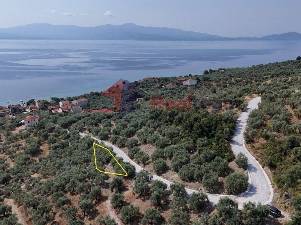 Εξωτερικοι χώροι