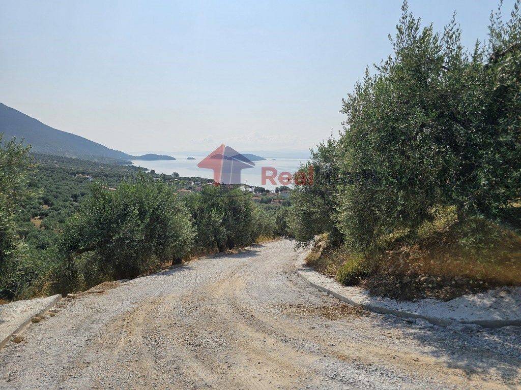 Εξωτερικοι χώροι