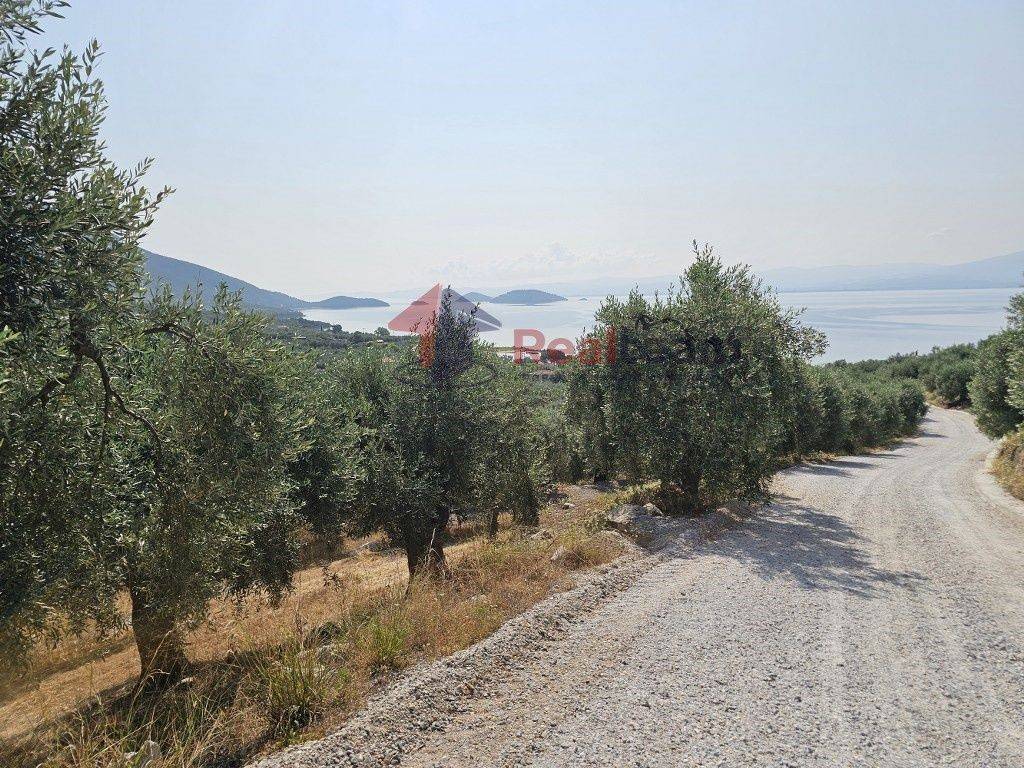 Εξωτερικοι χώροι