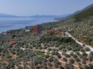 Εξωτερικοι χώροι