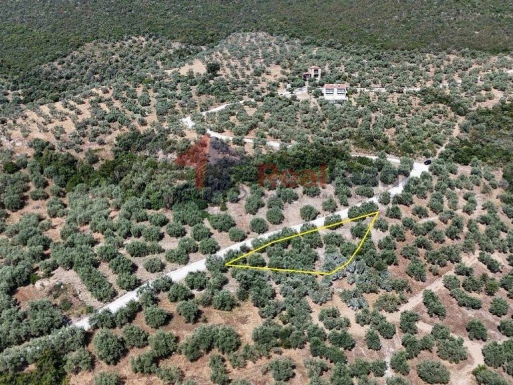 Εξωτερικοι χώροι