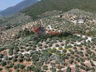 Εξωτερικοι χώροι