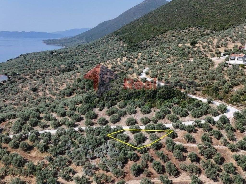 Εξωτερικοι χώροι