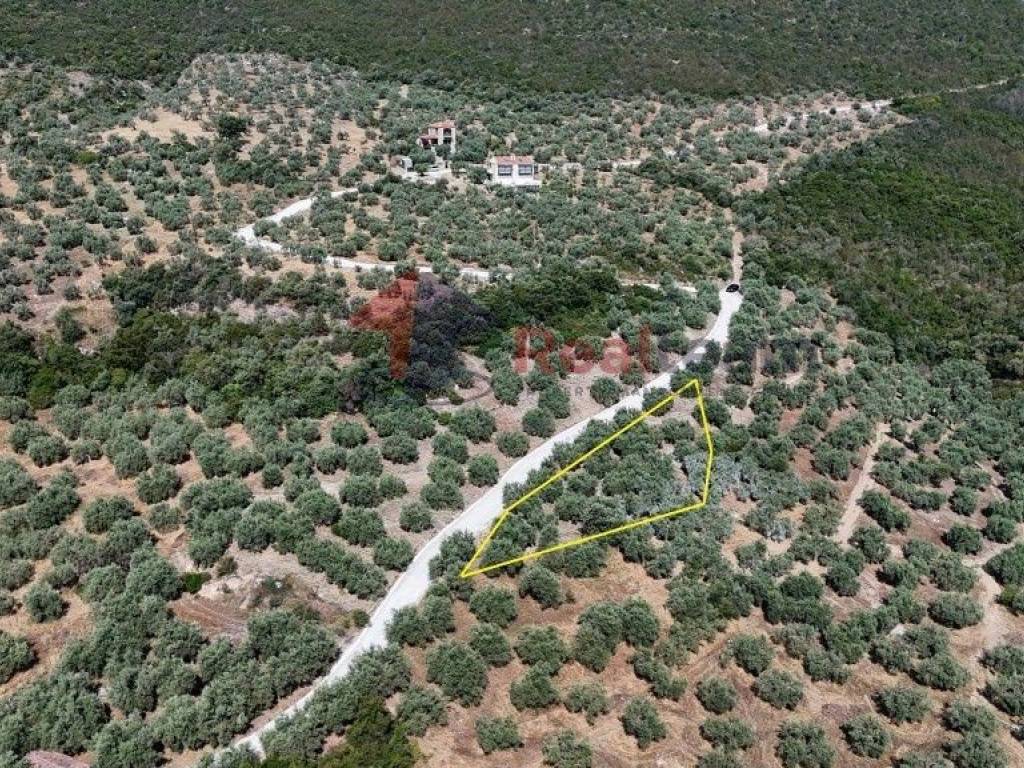 Εξωτερικοι χώροι