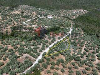 Εξωτερικοι χώροι