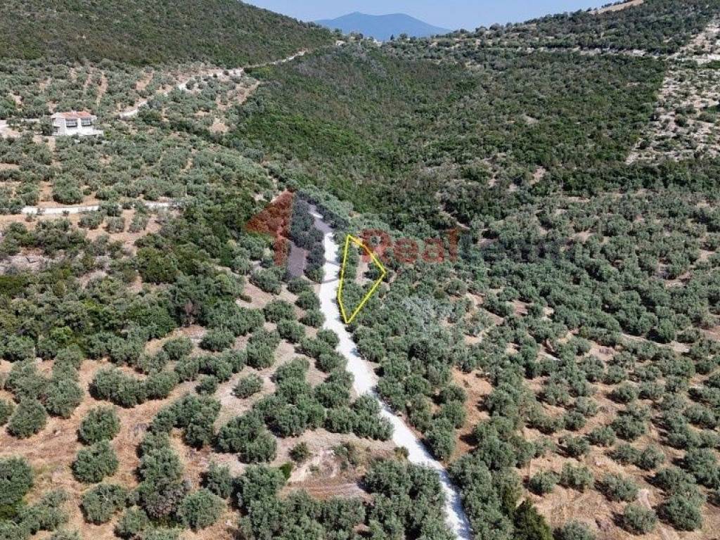 Εξωτερικοι χώροι