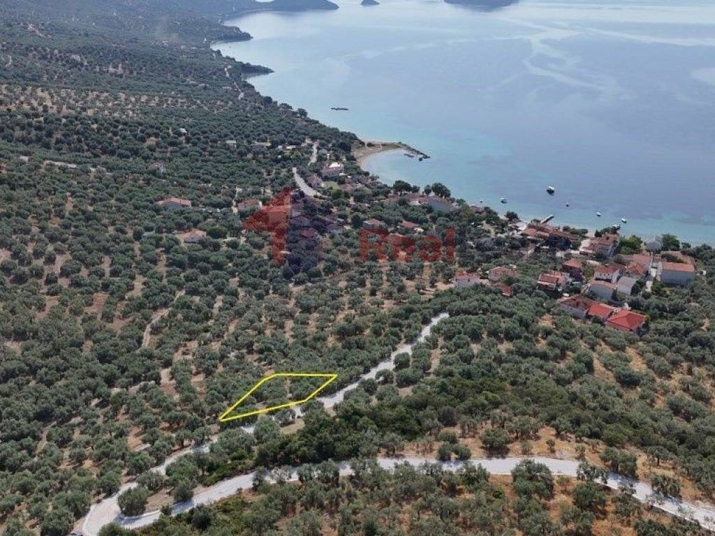 Εξωτερικοι χώροι