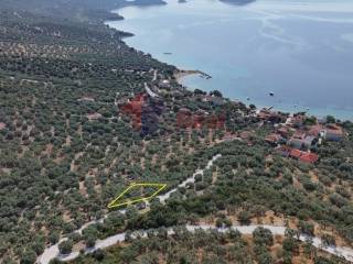 Εξωτερικοι χώροι