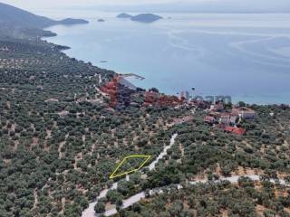 Εξωτερικοι χώροι