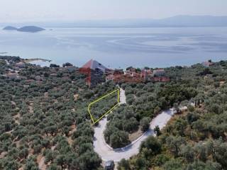 Εξωτερικοι χώροι