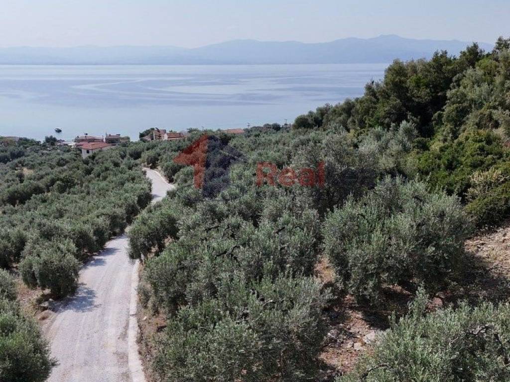 Εξωτερικοι χώροι