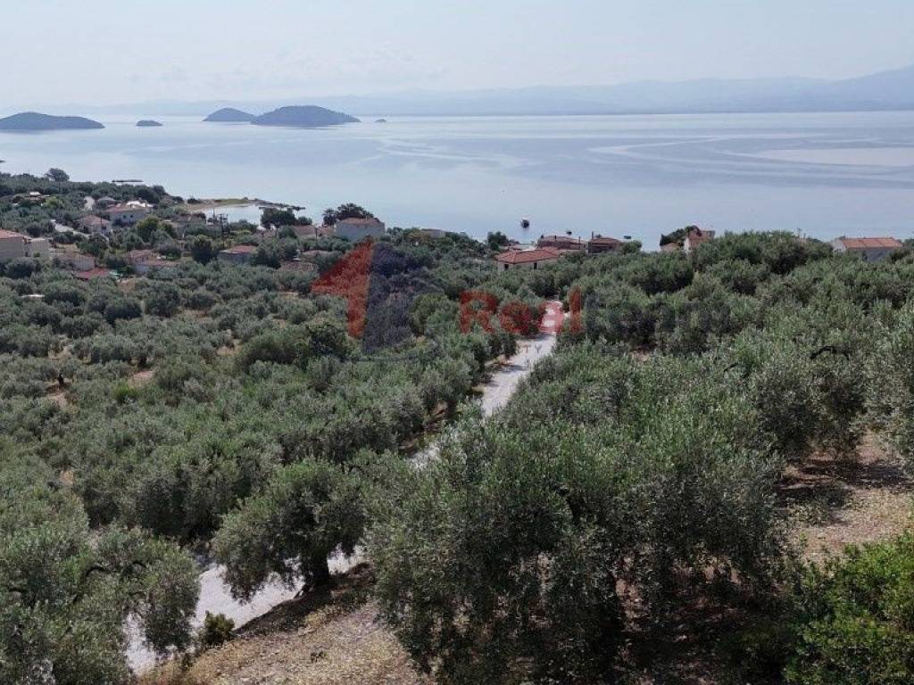 Εξωτερικοι χώροι