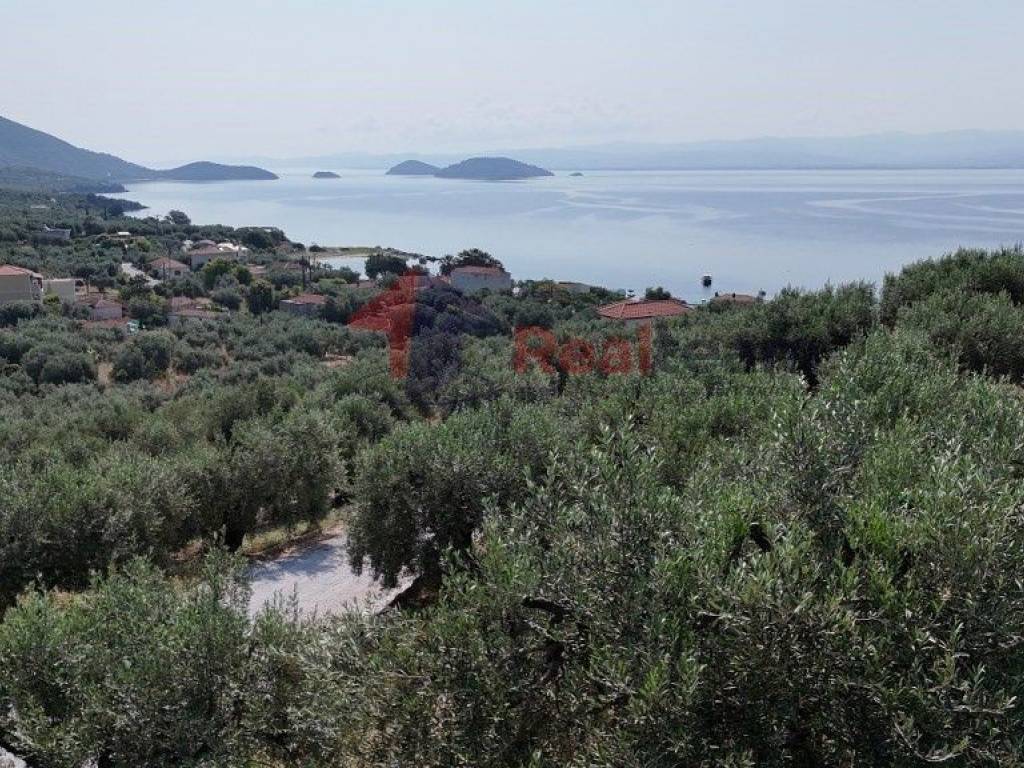 Εξωτερικοι χώροι