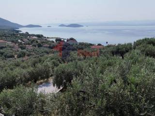 Εξωτερικοι χώροι