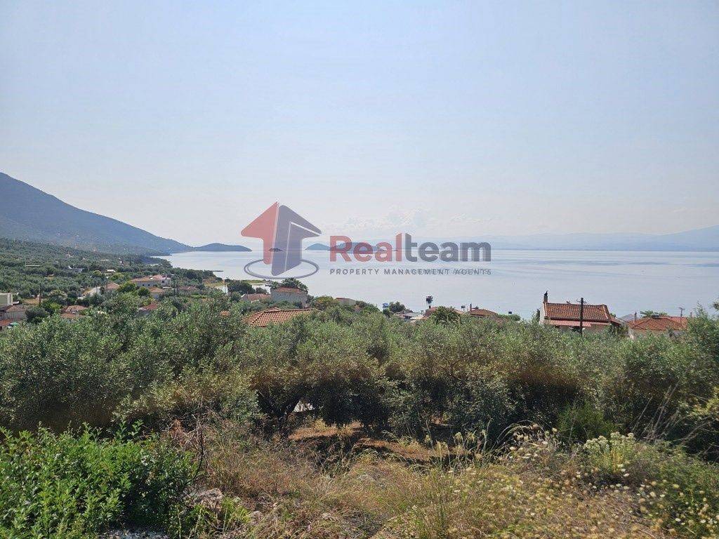 Εξωτερικοι χώροι