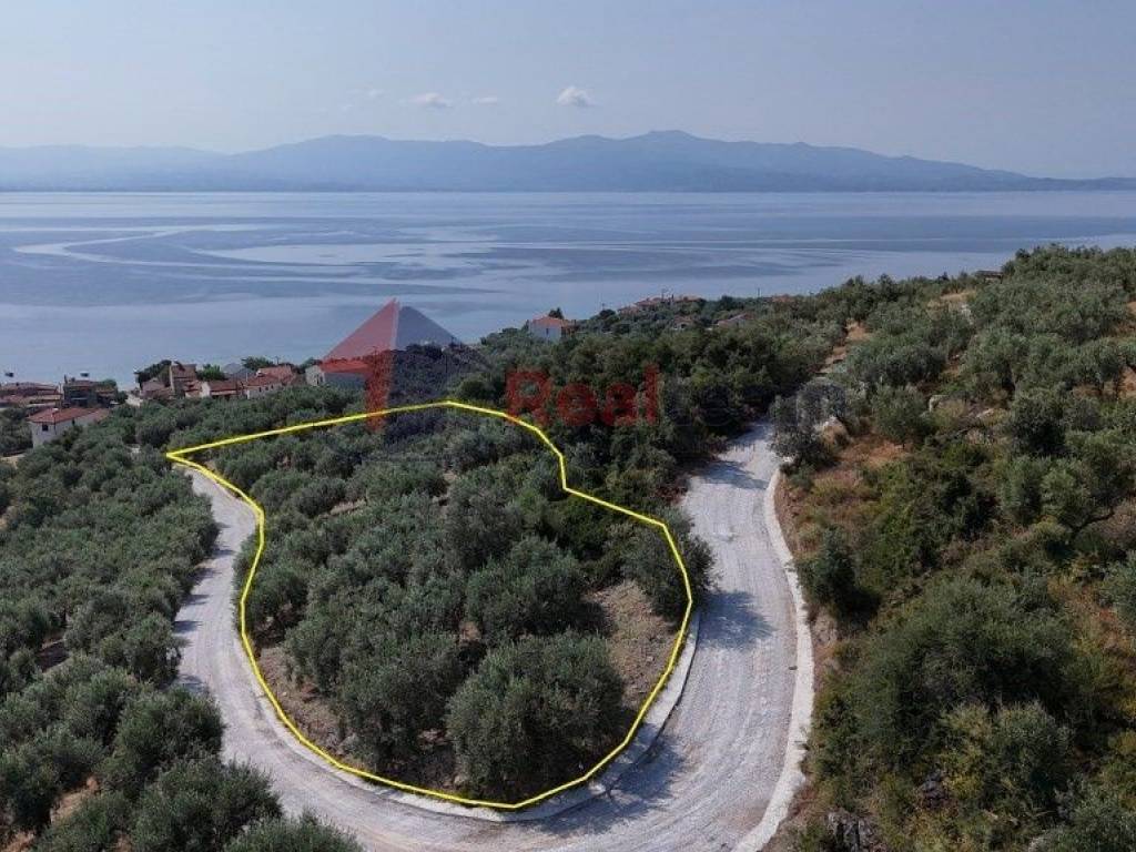 Εξωτερικοι χώροι