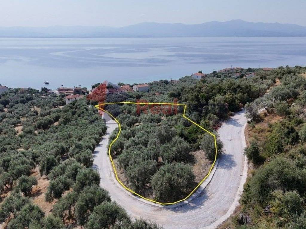 Εξωτερικοι χώροι