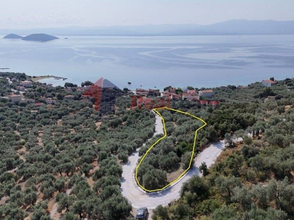 Εξωτερικοι χώροι