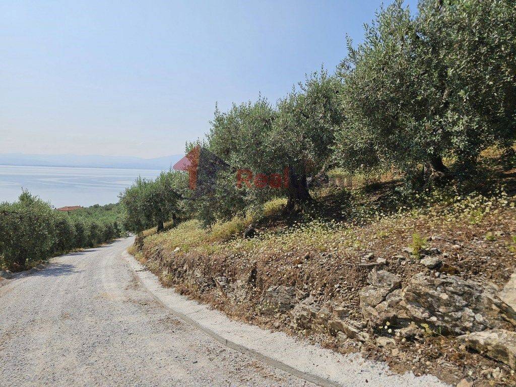 Εξωτερικοι χώροι