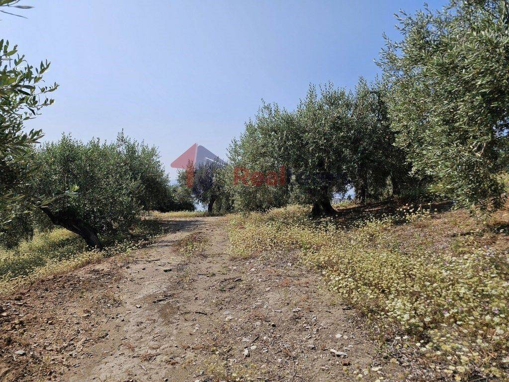 Εξωτερικοι χώροι