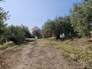 Εξωτερικοι χώροι