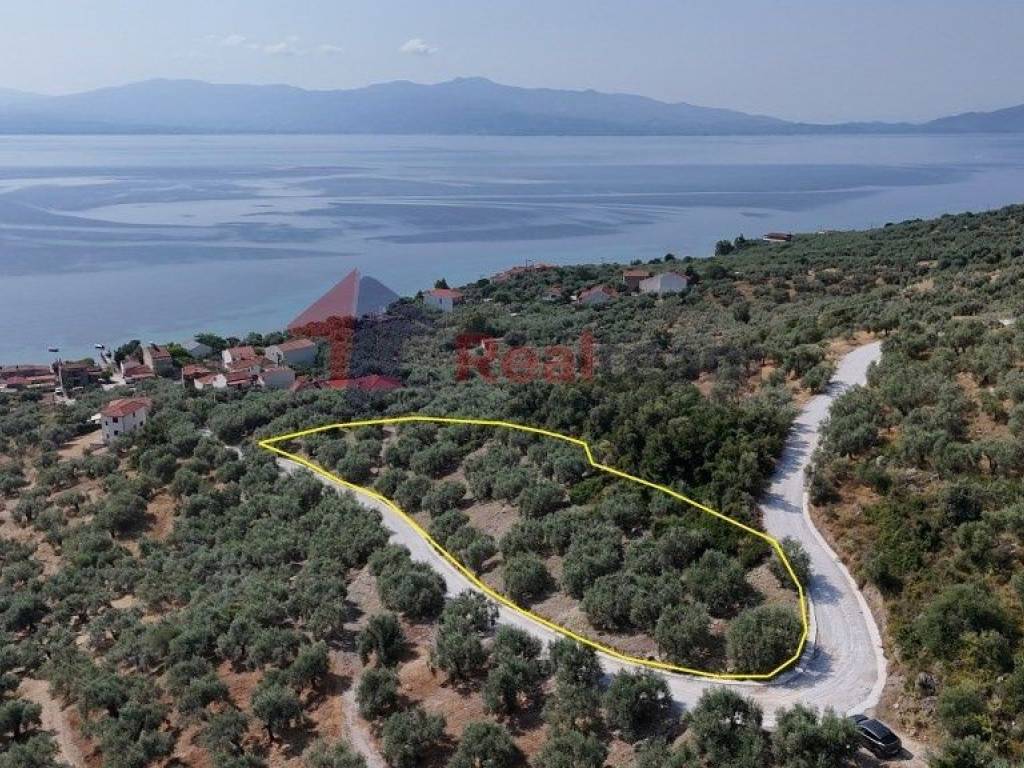 Εξωτερικοι χώροι