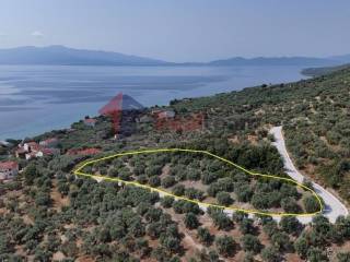 Εξωτερικοι χώροι